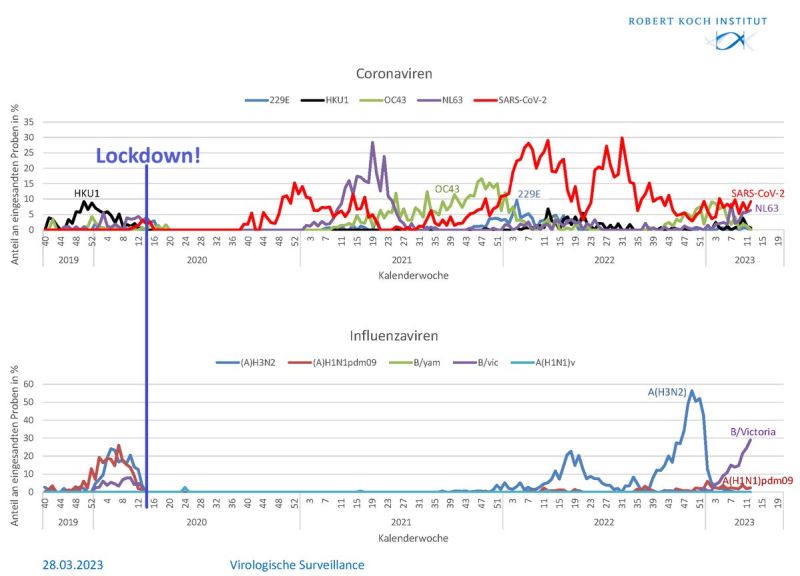Corona besiegt Influenza