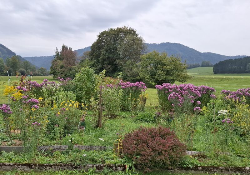 Herbst 800