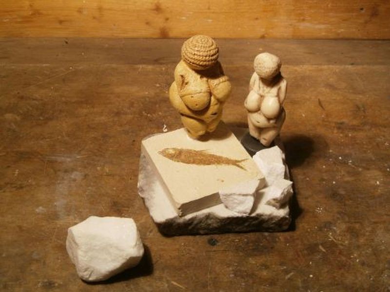 VENUS von Besrodnych