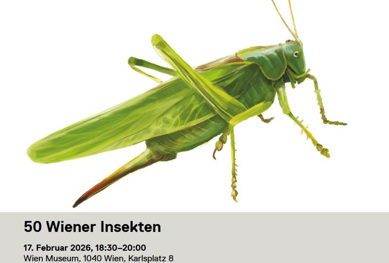 WienMuseum Insekten