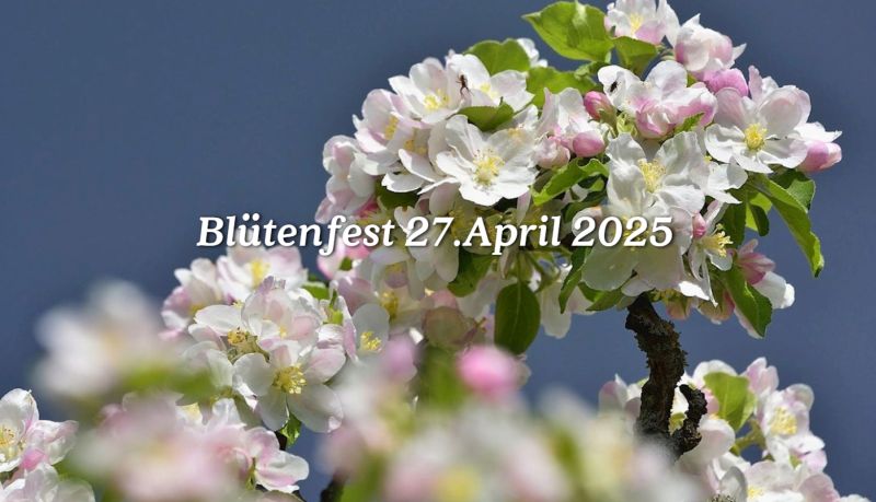 Apfelblütenfest