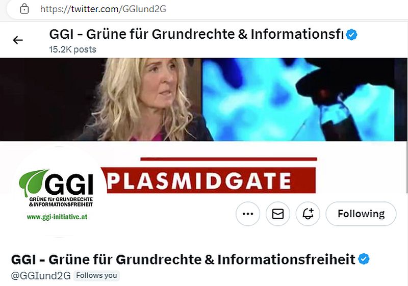 GGI Twitter 2024 02 02