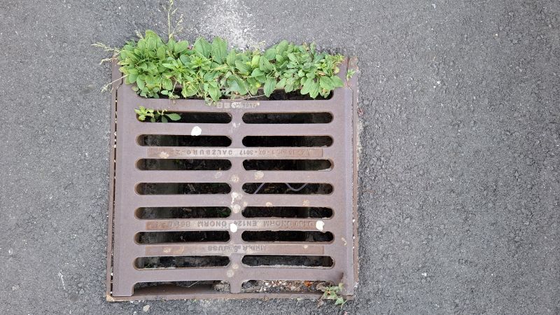 Natur vs Asphalt