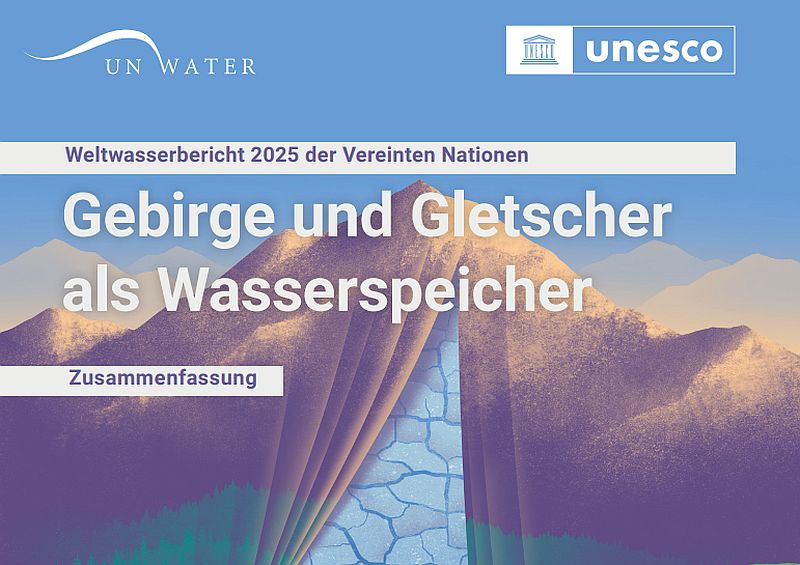 Weltwasserbericht