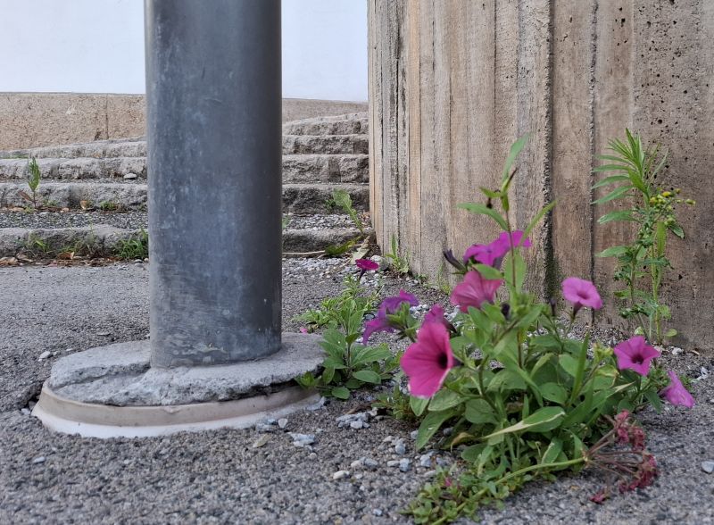 umwelt u beton